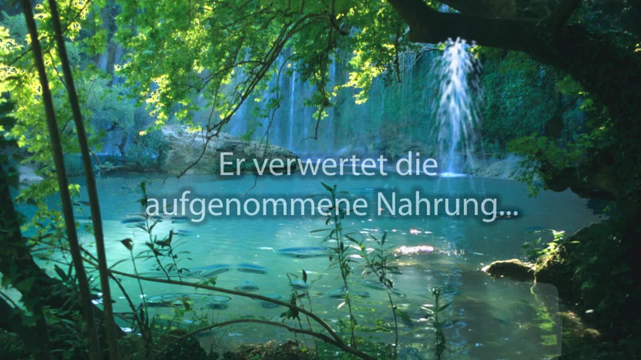 Stoffwechselfunktionstest