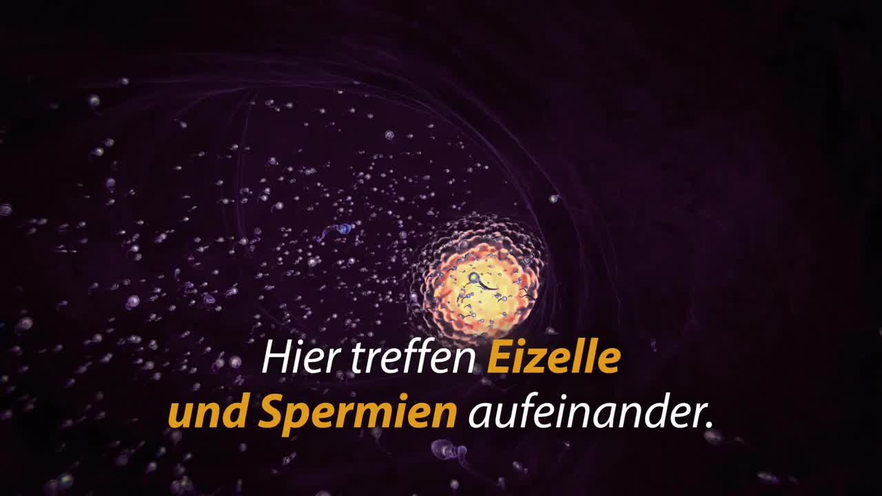 Sterilisation der Frau