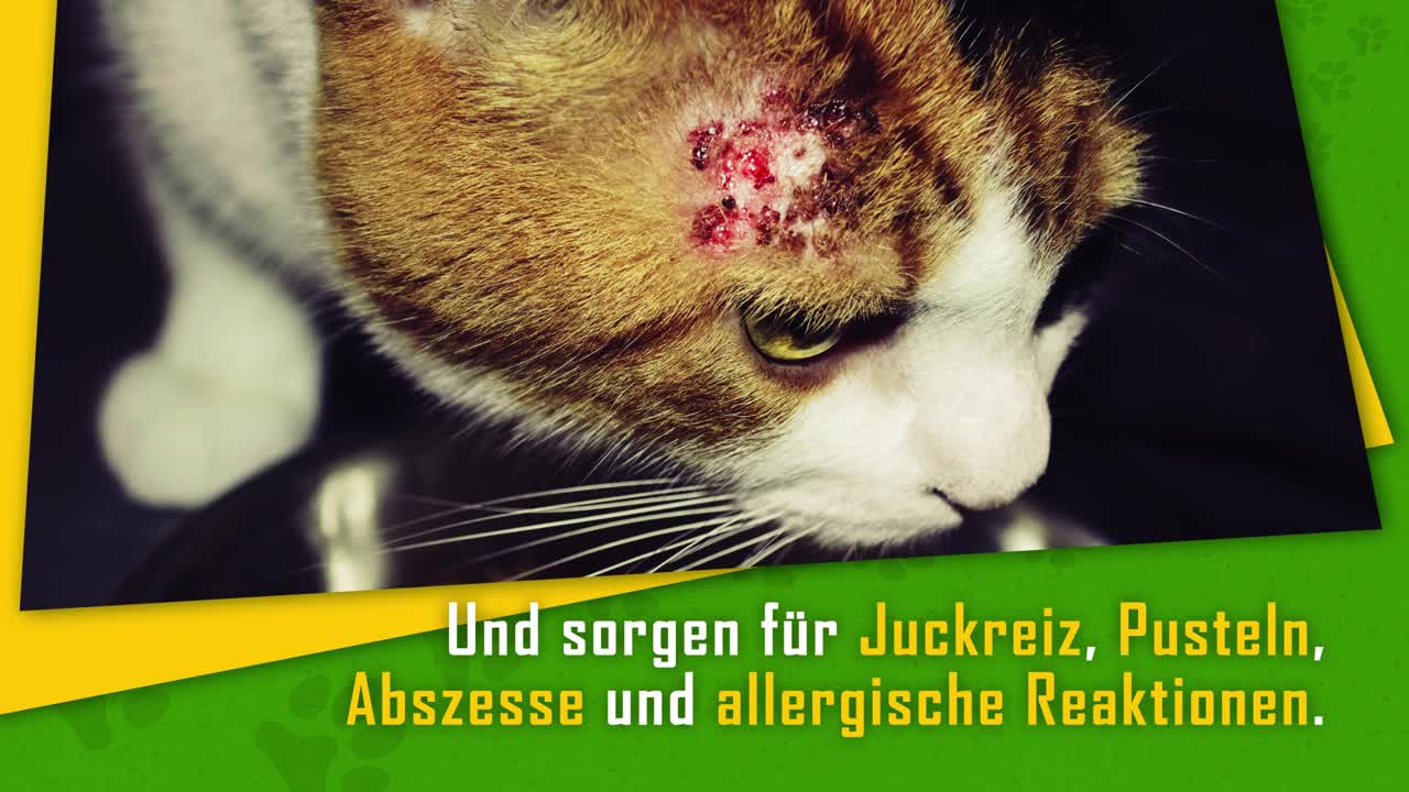 Parasiten I: Flöhe, Läuse, Zecken