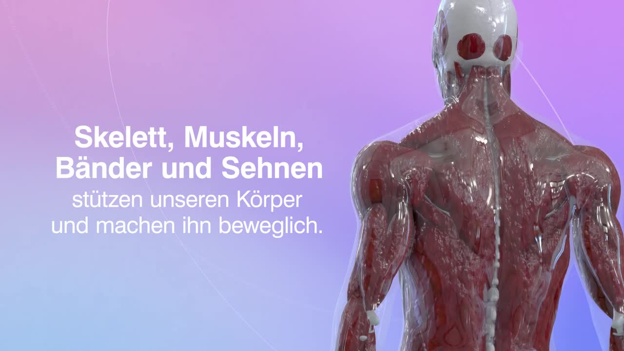 rPMS / repititive periphere Magnetstimulation