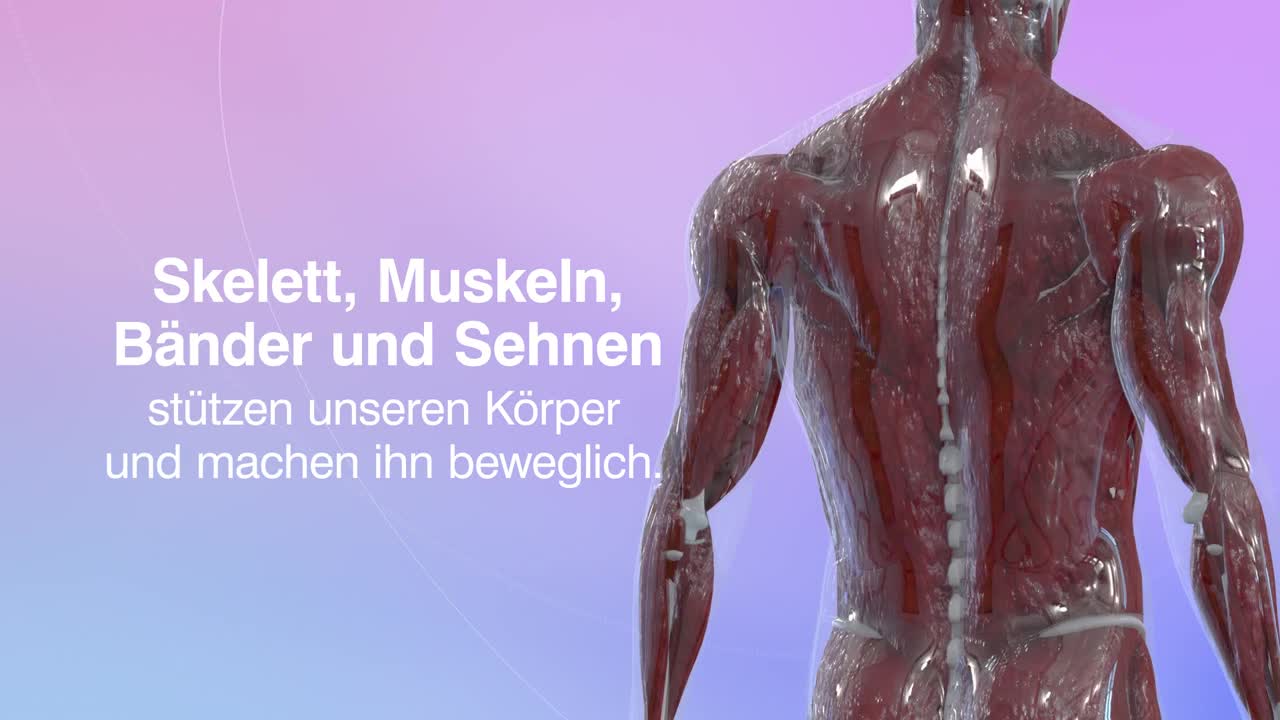 EMTT / Extrakorporale Magnetotransduktions-Therapie