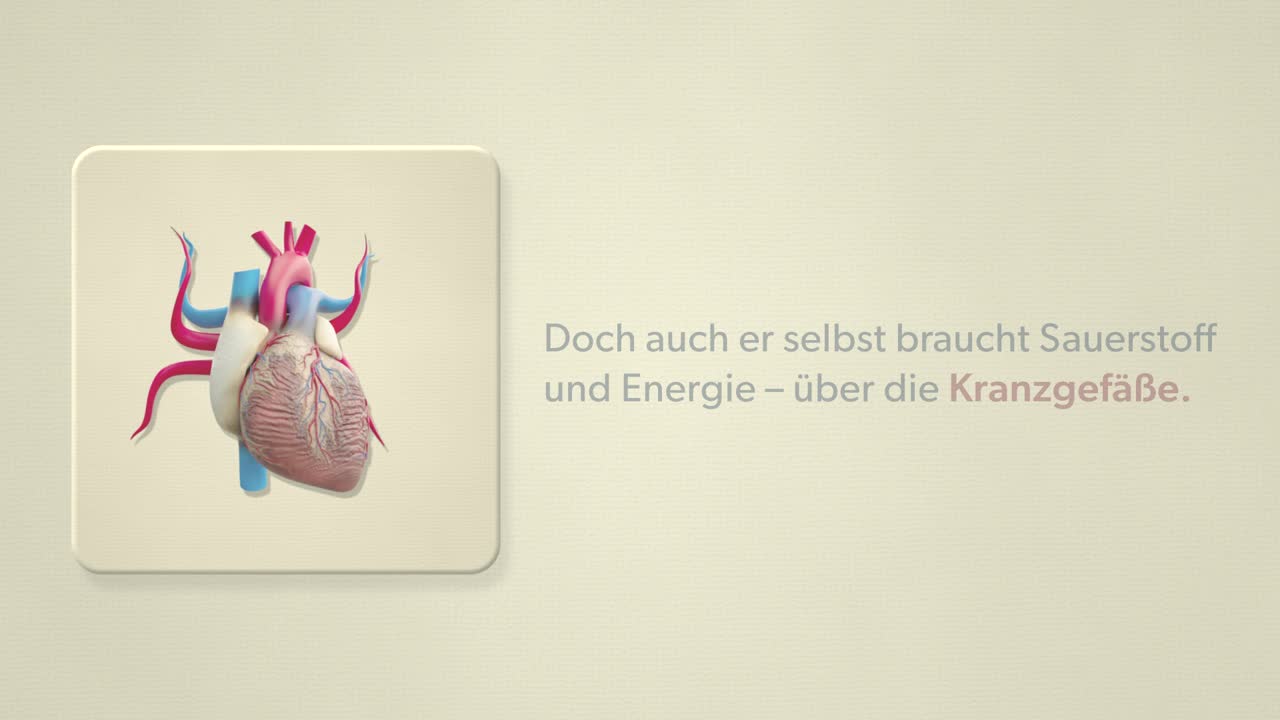 Echokardiografie (Stressecho)