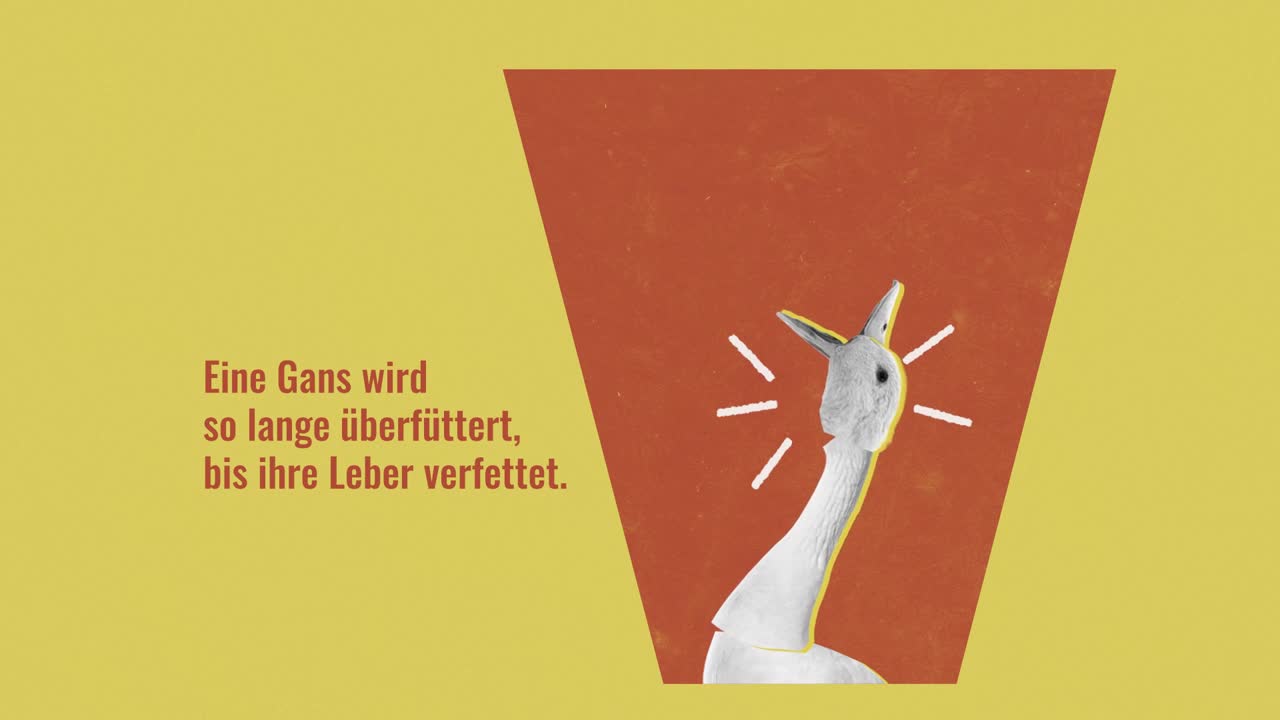 Fettleber-Erkrankungen